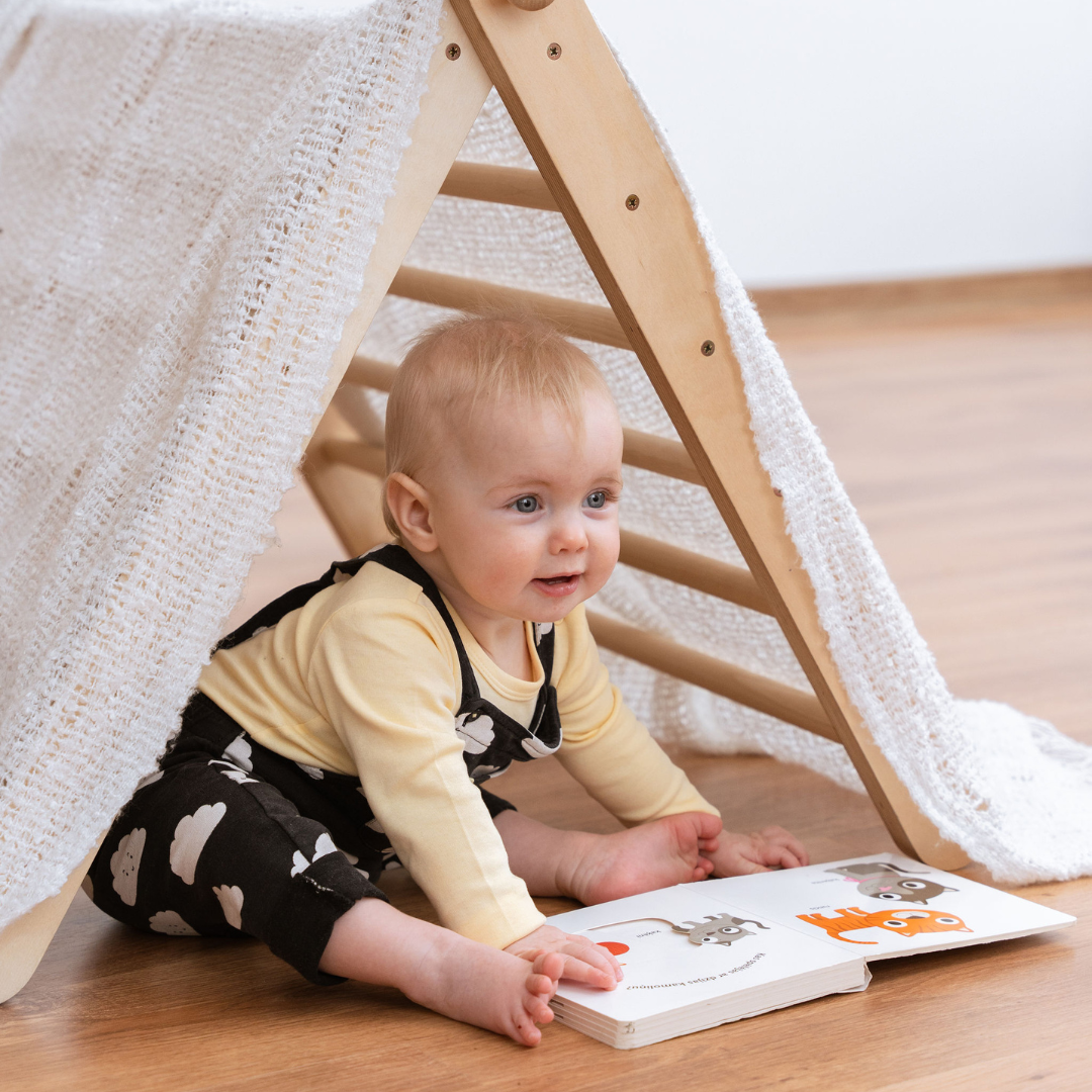 SIPITRI® Climbing Triangle
