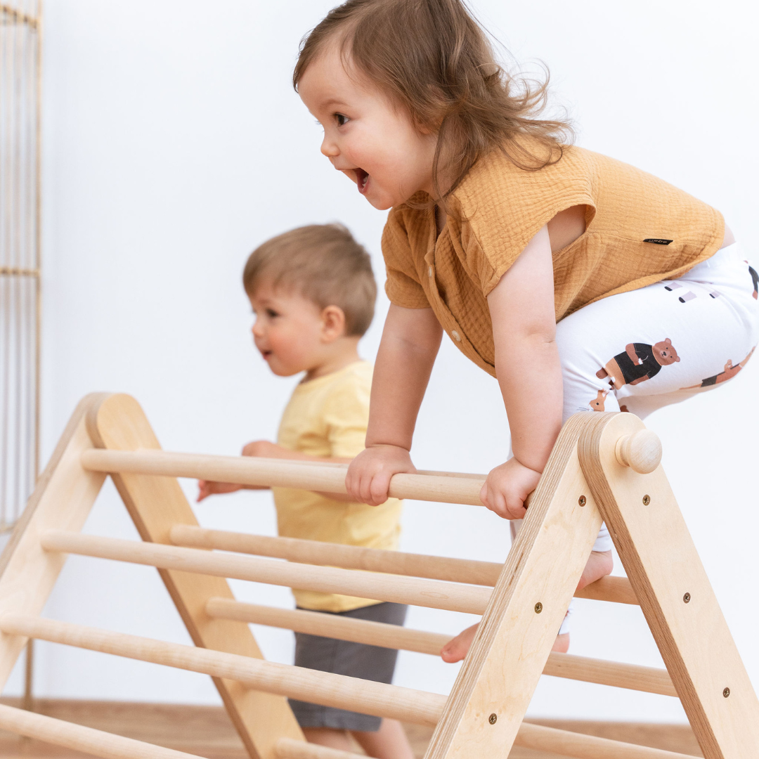 SIPITRI® Climbing Triangle