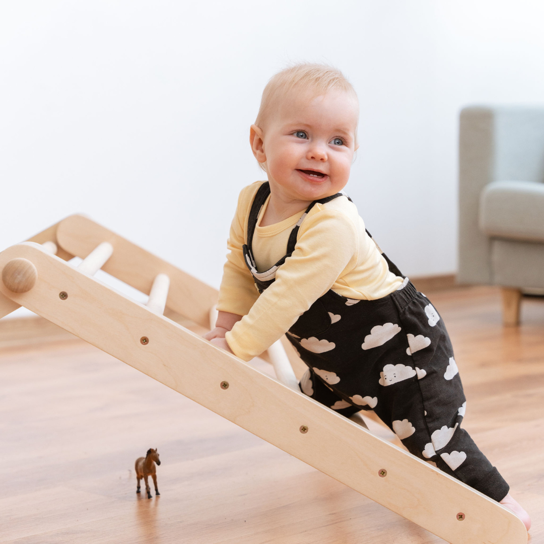 SIPITRI® Climbing Triangle