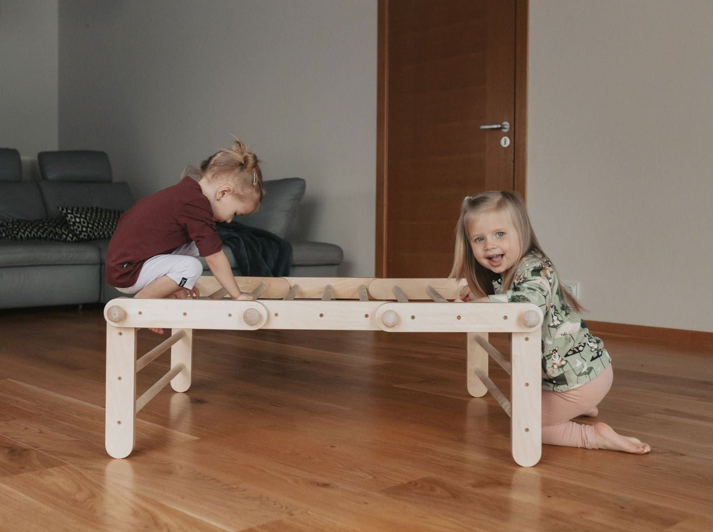 FIPITRI® Climbing Frame