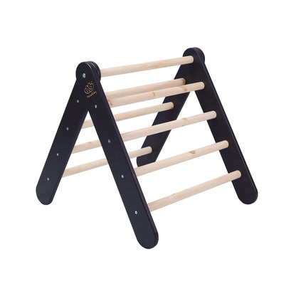 Pikler Climbing Ladder — Black