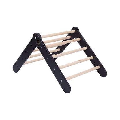 Pikler Climbing Ladder — Black