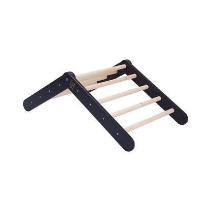 Pikler Climbing Ladder — Black