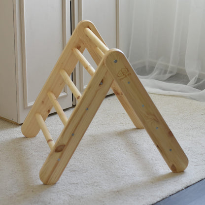 Pikler Climbing Ladder
