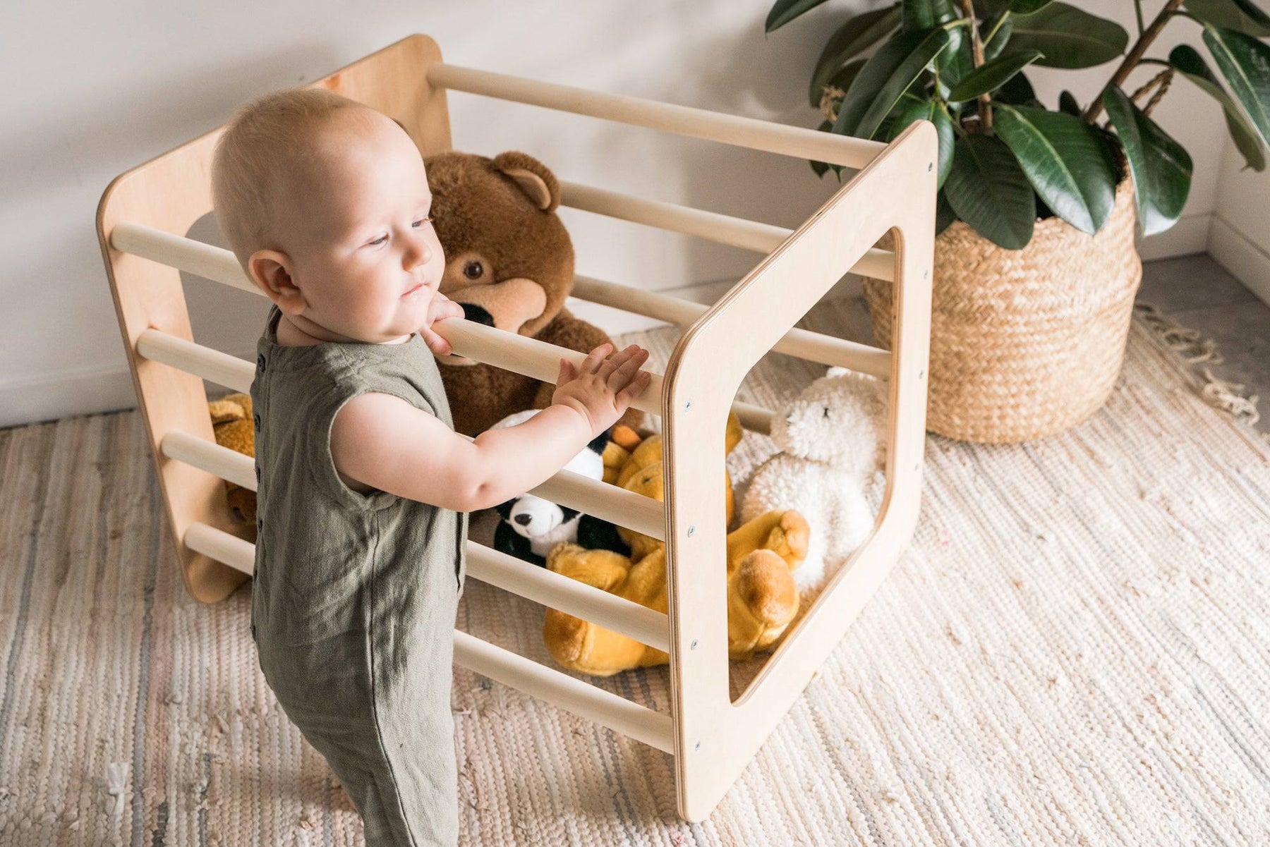 Climbing Bars Frame