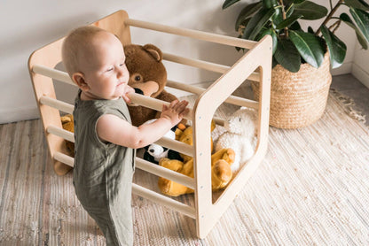 Climbing Bars Frame