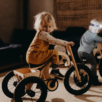Tricycle Add-on
