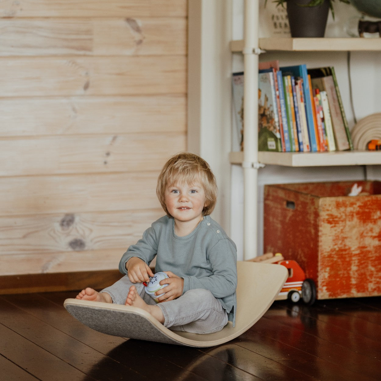 Wooden Balance Board